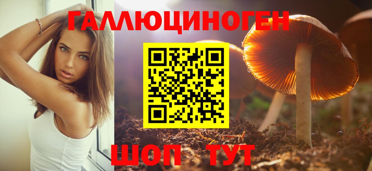 Псилоцибиновые грибы ЛСД Бугуруслан