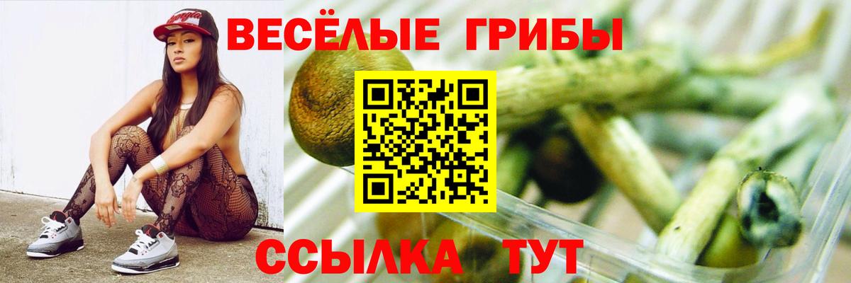 Бугуруслан  Псилоцибиновые грибы мухоморы  где продают наркотики  Вход с VPN 